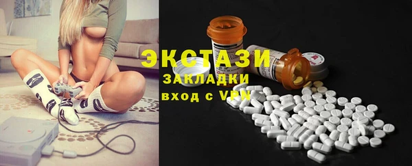 дживик Богородицк