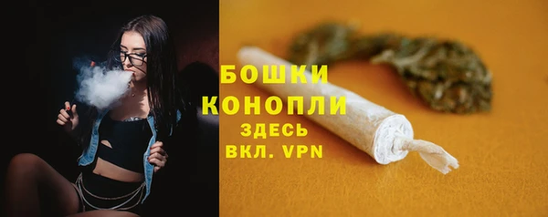 молекула духа Тобольск