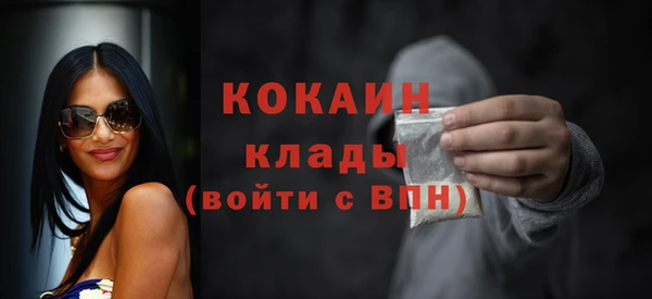 дживик Богородицк