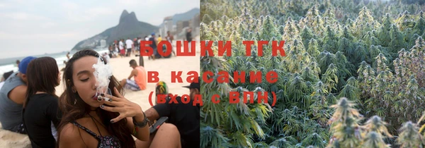 дживик Богородицк