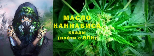 дживик Богородицк