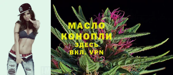 дживик Богородицк
