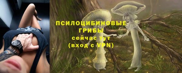 Альфа ПВП Богданович