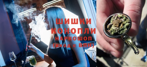 дживик Богородицк