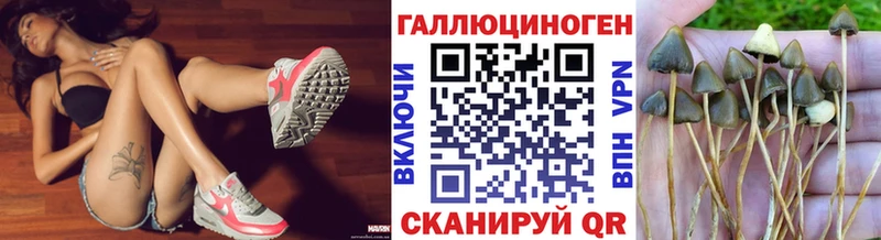 Галлюциногенные грибы мицелий  Краснотурьинск 